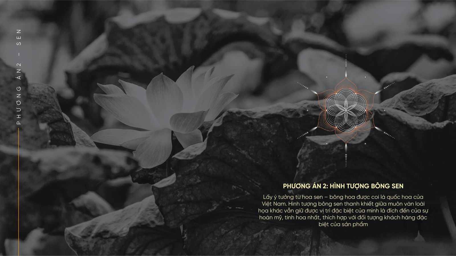 SHB – Thẻ & bộ ứng dụng – 25