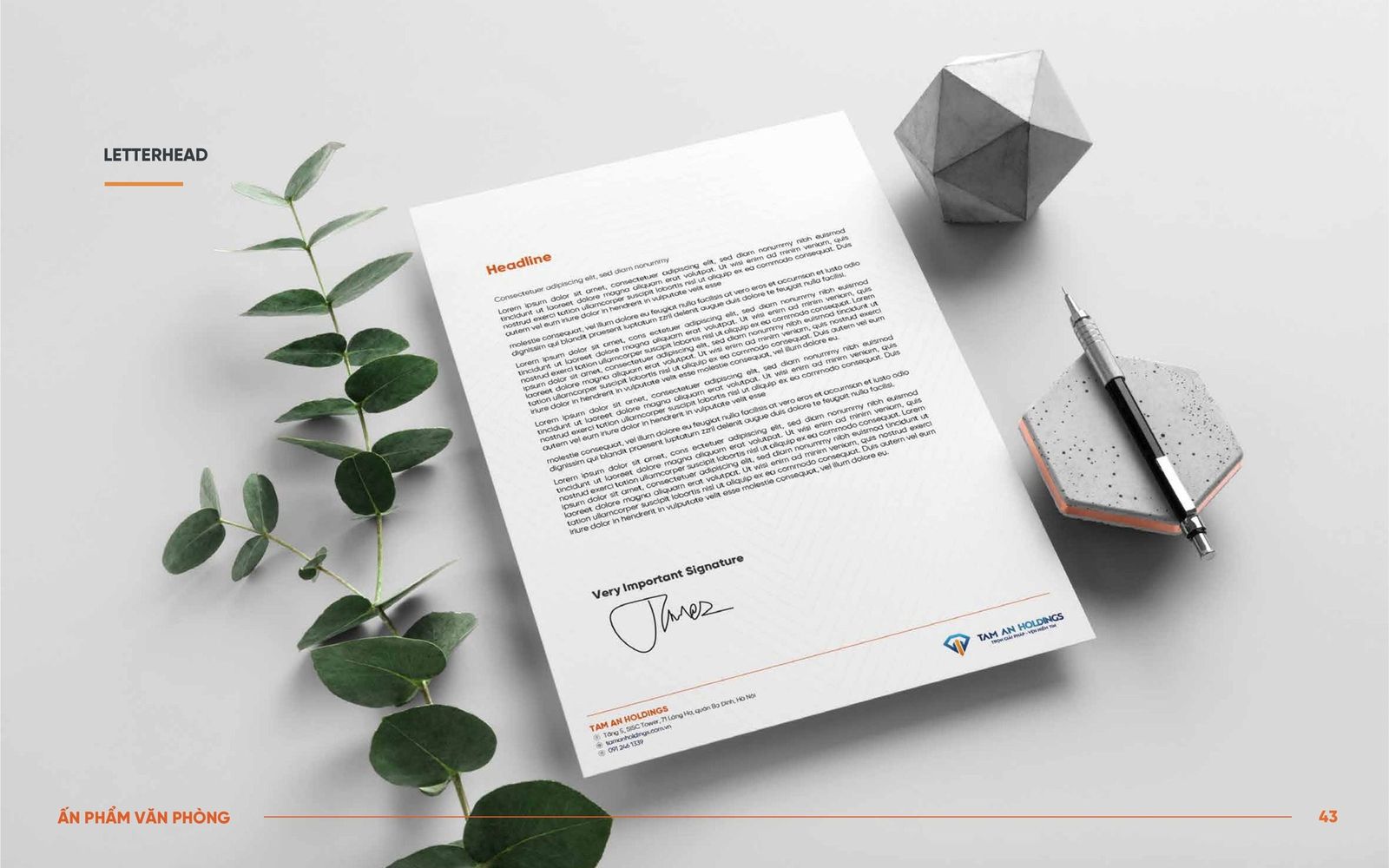 Tam An Holdings – 10